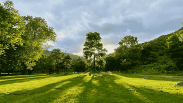 Kurumsal Piknik alanı