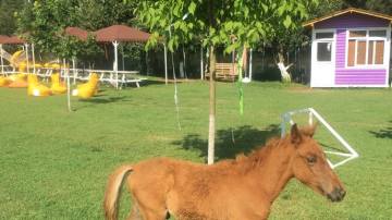 köy kahvaltısı Polonezköy