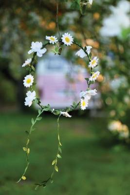 Patlıcan Polonezköy